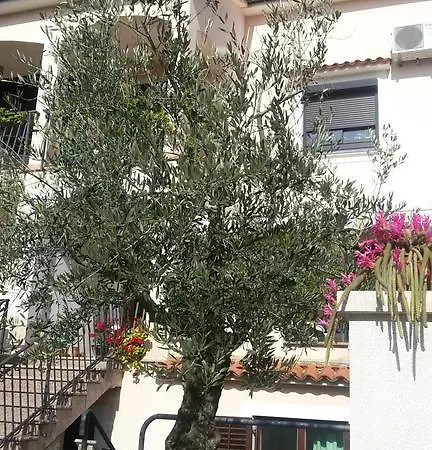 Ljubica