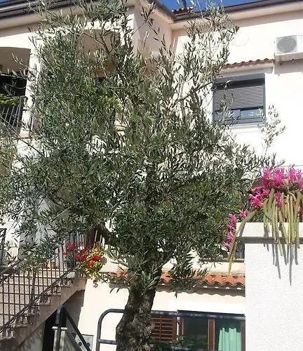 Ljubica